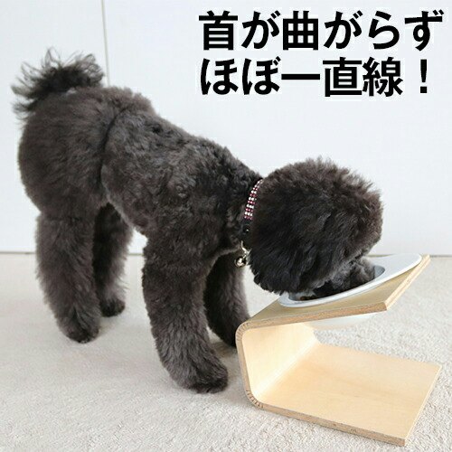 食が細い犬・短鼻種には傾斜つきがおすすめ