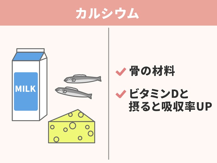 足腰に不安を感じるようになったら「カルシウム」を