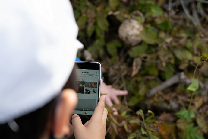 知識は不要!サクッと調べたいなら写真から検索できるアプリがおすすめ