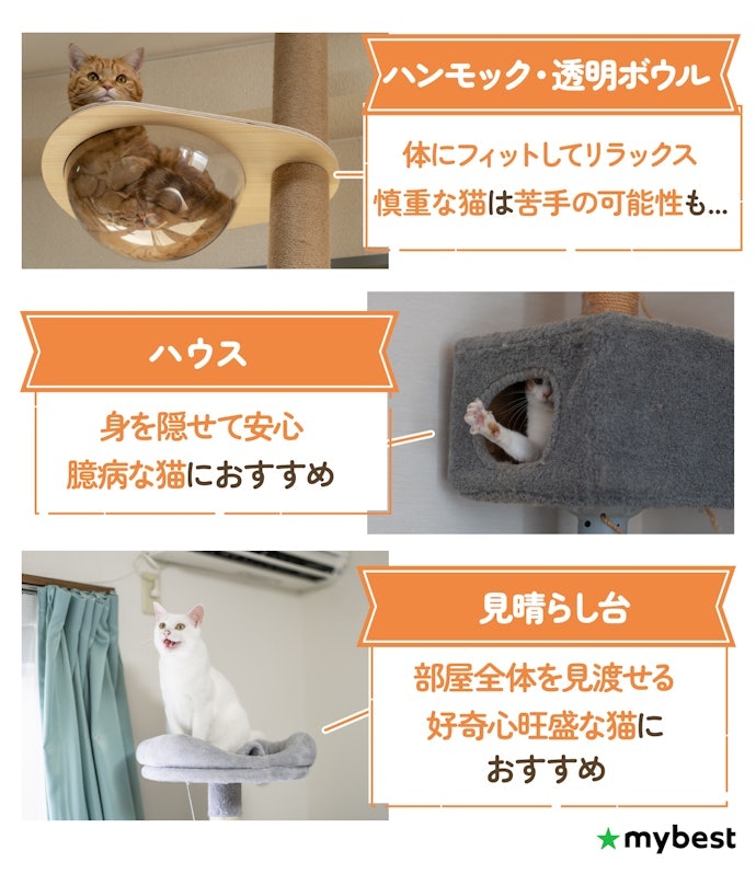 休憩スペースは猫それぞれに独立して使える数・配置かを確認しよう