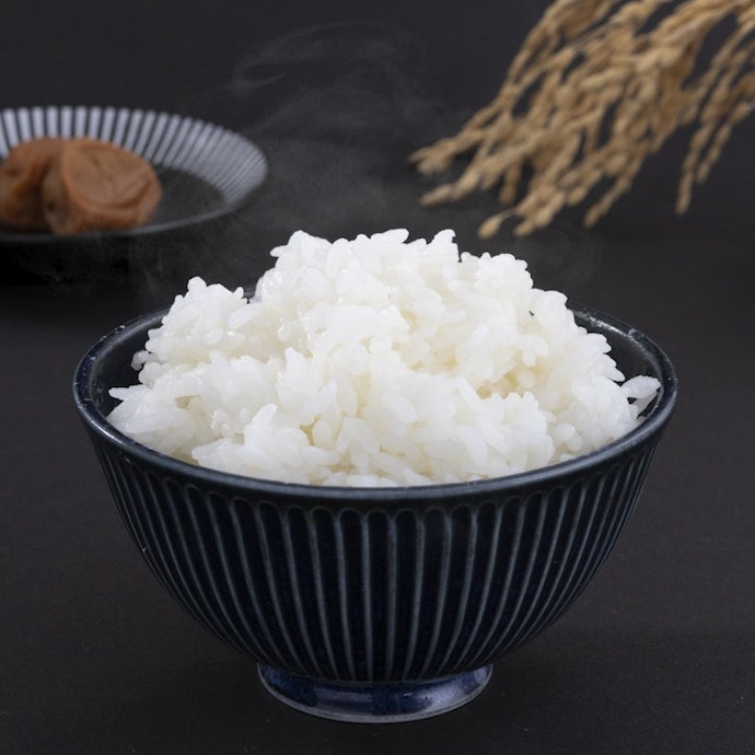 お米 白米【岩手県産銀河のしずく20kg】 7年連続特A評価! お米 白米【岩手県産銀河のしずく20kg】 7年連続特A評価!