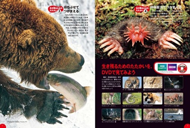 未就学児には、写真・イラスト重視がおすすめ