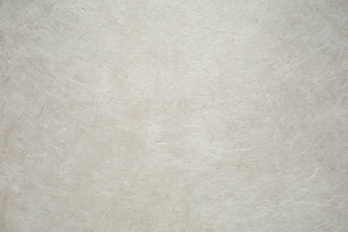 和紙っぽさが魅力の「画仙紙」