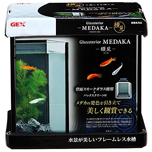 メダカの美しい色を楽しむならスモークガラスをチョイス