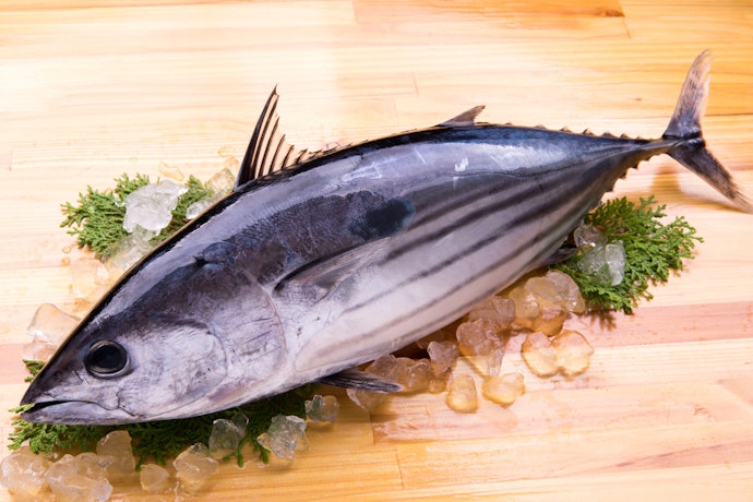 ライトツナ:リーズナブルなキハダ・メバチマグロやカツオ