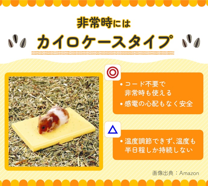 電気が使えないなど非常時の使用には、カイロケースタイプ