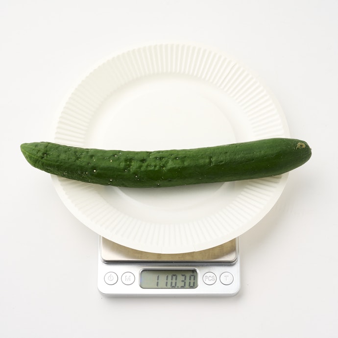 野菜室のクオリティも東芝製品のなかでは見劣りする