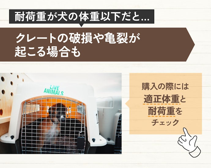 適正体重は愛犬の重さが基準。耐荷重は体重よりワンサイズ上を目安に