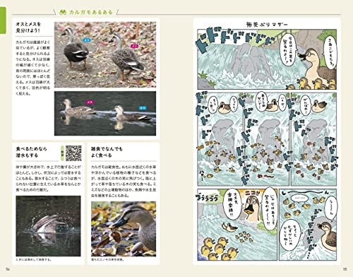 子どもの学習には、写真・イラストが豊富な図鑑が活躍。ルビつきがベター