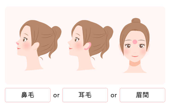 【オプションメニュー】鼻毛・耳毛・眉間のうち1部位5回 熱破壊式