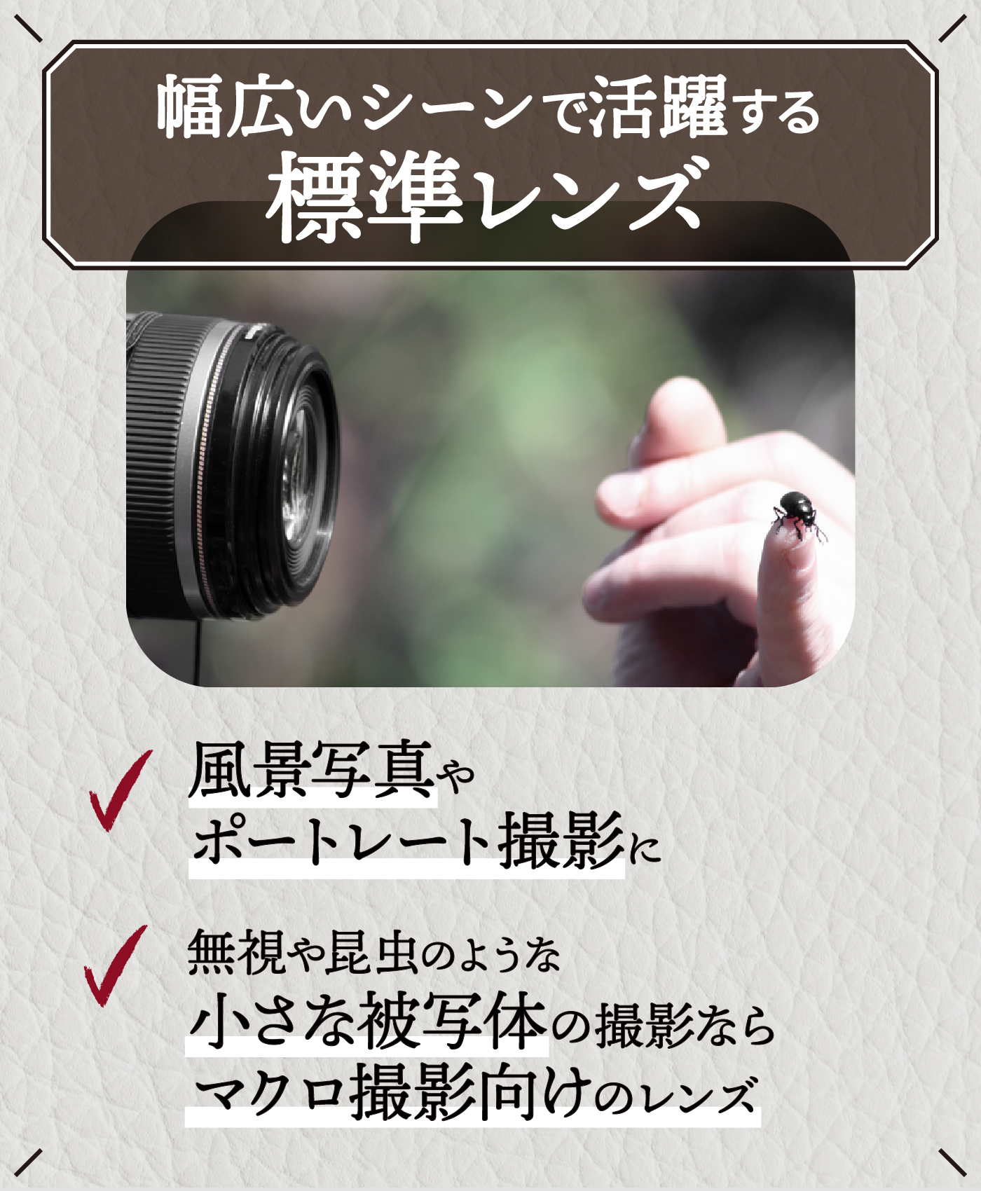 ニコンのオールドレンズのおすすめ人気ランキング【2026年1月】 | マイ