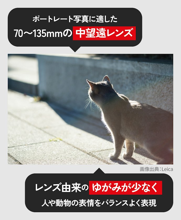 ゆがみが少ない中望遠レンズは、ポートレート撮影にぴったり
