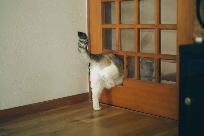 見た目にこだわるなら、キャットドア付きドアも選択肢に