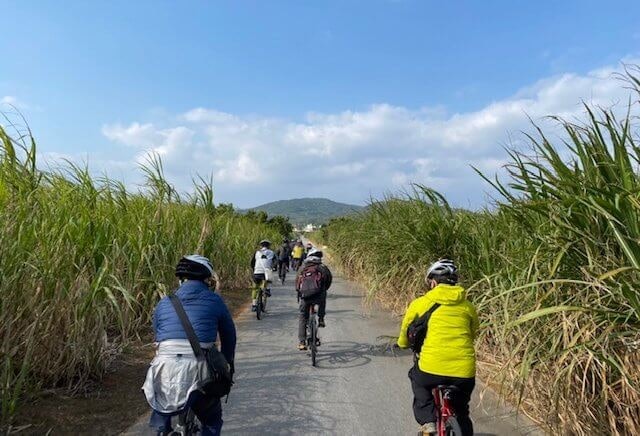 島全体を散策するなら、レンタサイクル・レンタカーの有無もチェック