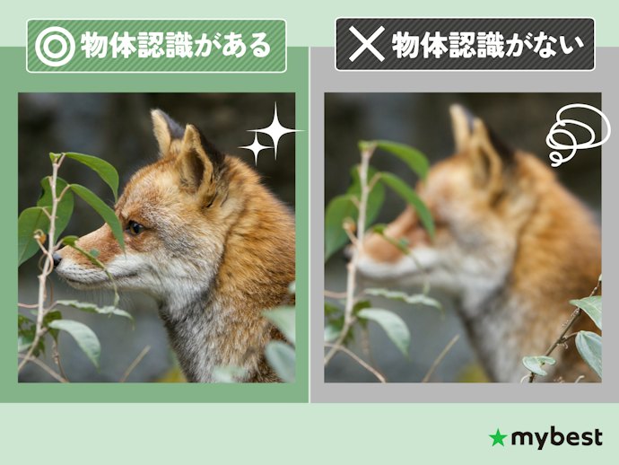 動く被写体を撮りたいならAF性能に注目。物体認識が充実しているものほど初心者向き