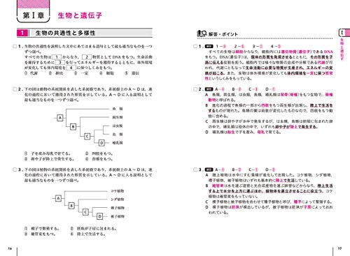 暗記が苦手な人は「用語集」や「一問一答式」の参考書で理論から覚えよう