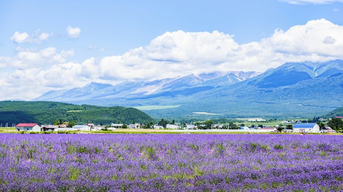 北海道:絶品海鮮グルメや雄大な自然が楽しめる