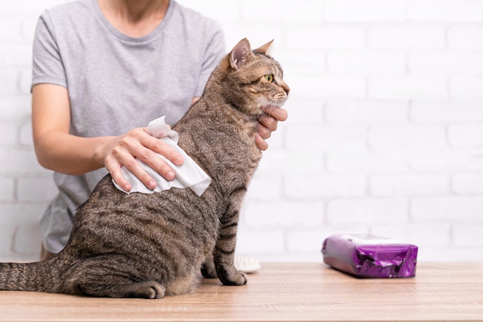 外出先での使用には、持ち運びしやすいシートタイプがぴったり