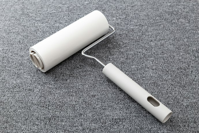 表面のホコリや髪の毛は粘着タイプ・ブラシで取り除こう