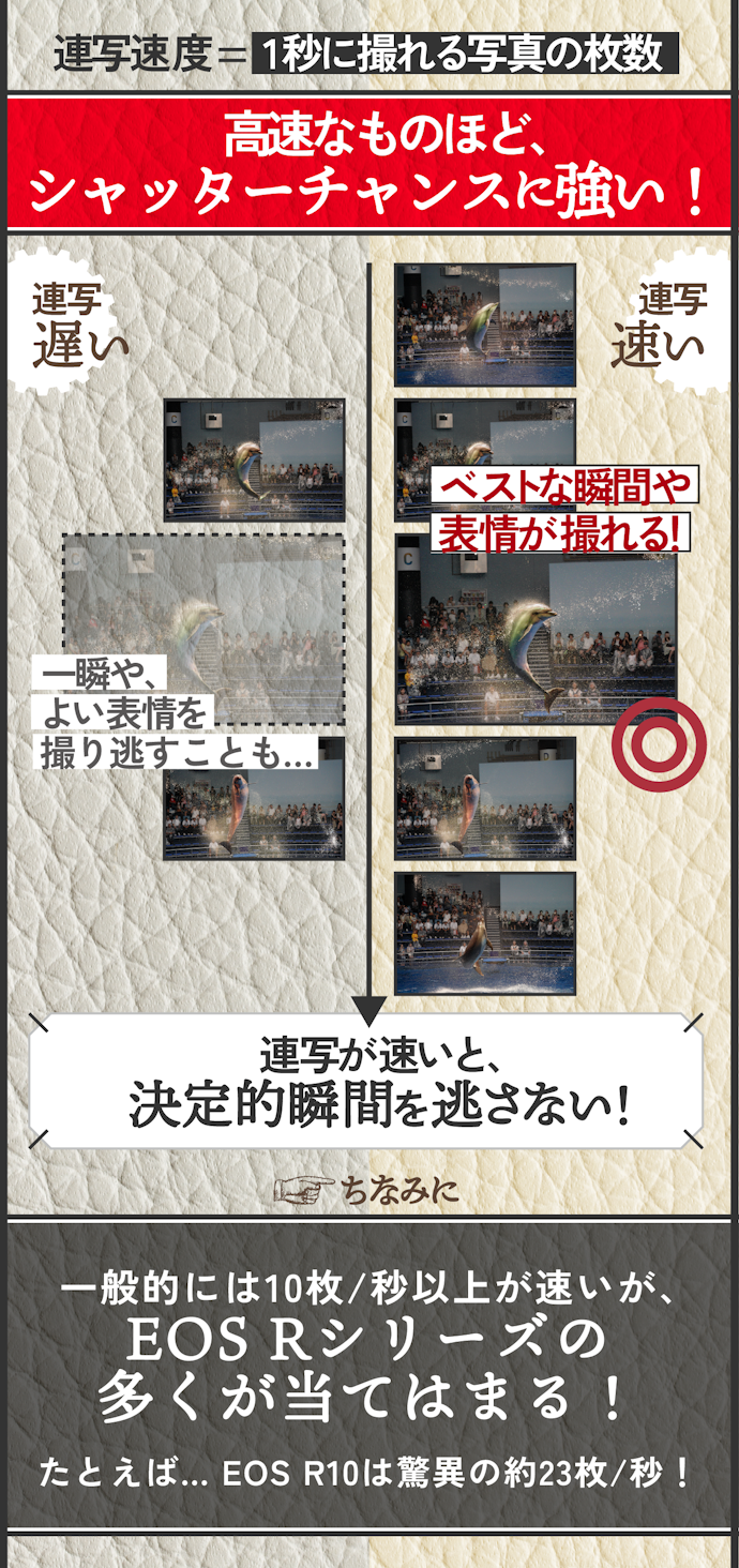 連写速度は速いものがベター。動くものメインで撮るなら10枚/秒以上