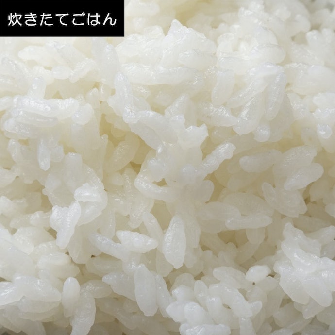 ツヤのある炊き上がりで甘みも感じられる。バランスのよい食感も魅力