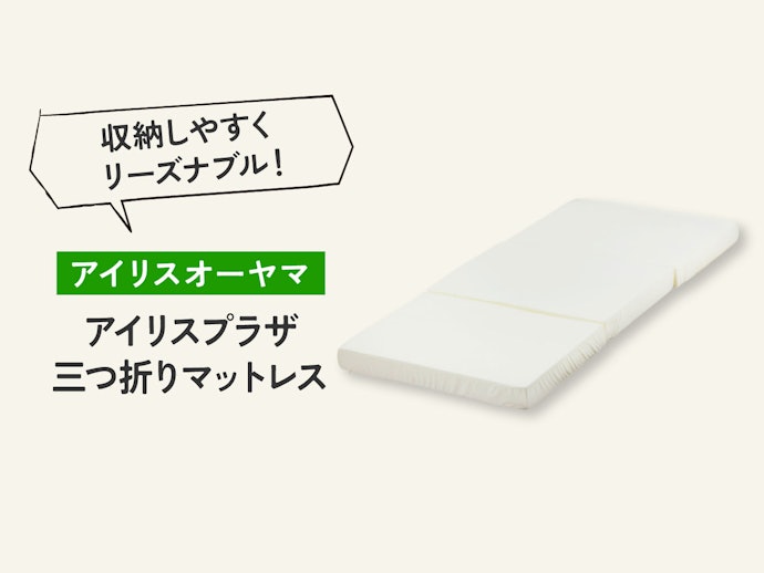 収納のしやすさ重視なら、折りたためて価格が安いアイリスもおすすめ