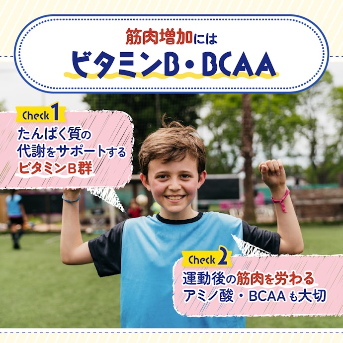 運動して筋肉をつけさせたいなら、ビタミンB群・BCAAに注目
