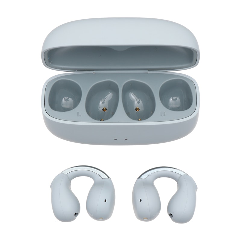 イヤホン Victor neorpohones NA-HFT HA-NP1T-H JVC Victor nearphones