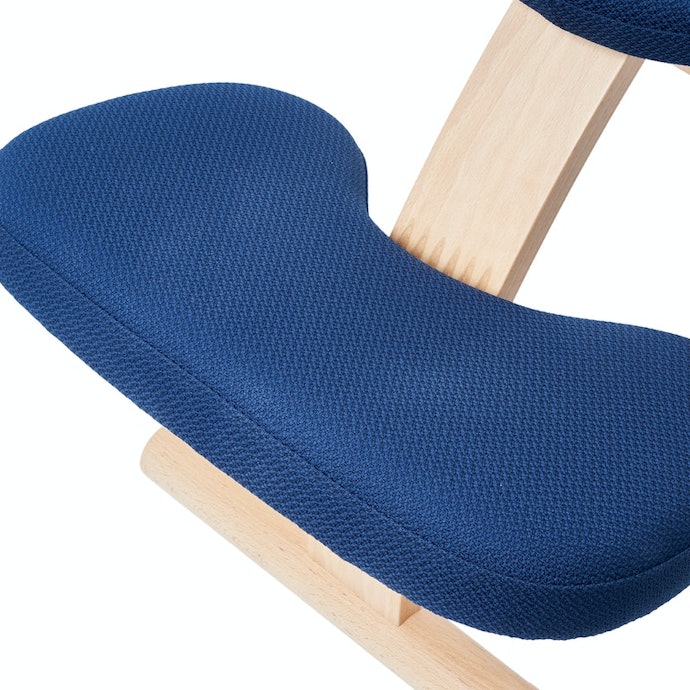 バランスラボ ラクに姿勢がよくなる椅子 バランス イージーをレビュー バランスラボ ラクに姿勢がよくなる椅子 バランス イージーをレビュー