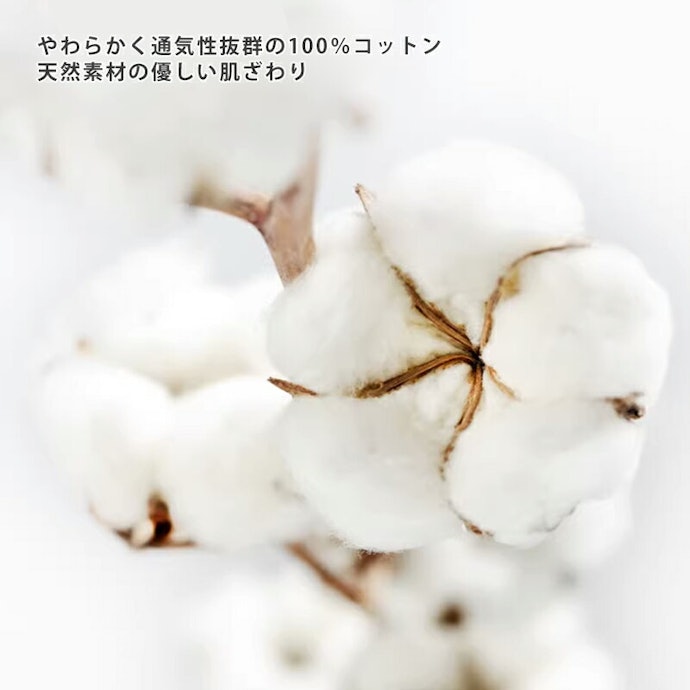 肌あたり重視ならコットンやリネン、扱いやすさで選ぶならポリエステルに注目