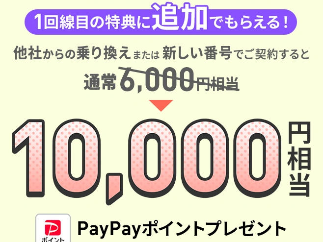2回線まとめて申し込むと、PayPayポイントプレゼント