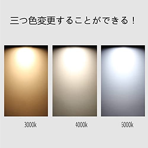 リビングダイニング:調色機能も使えるタイプがうってつけ