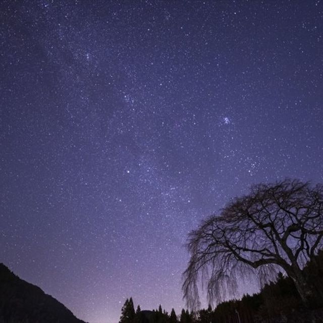 星空を堪能したい人は、宿独自のツアープランの充実度をチェックしよう