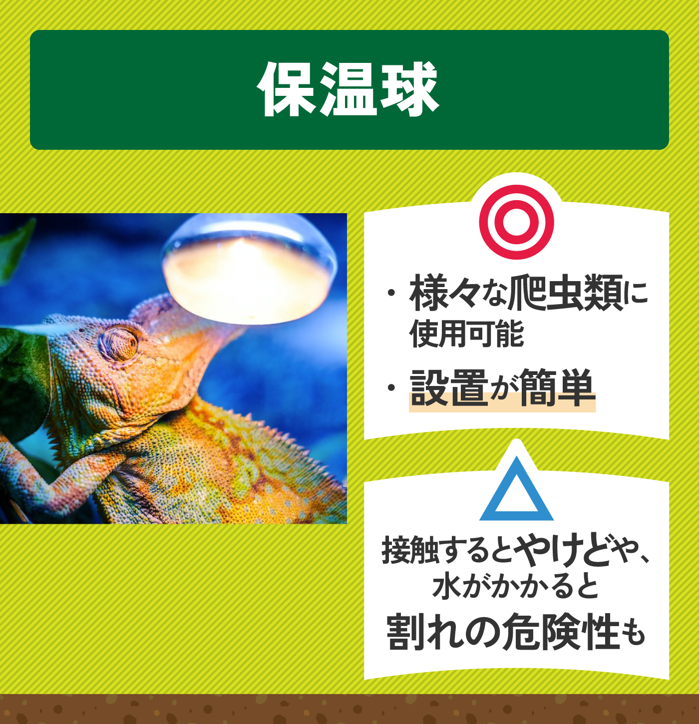 爬虫類用ヒーターのおすすめ人気ランキング【2025年10月