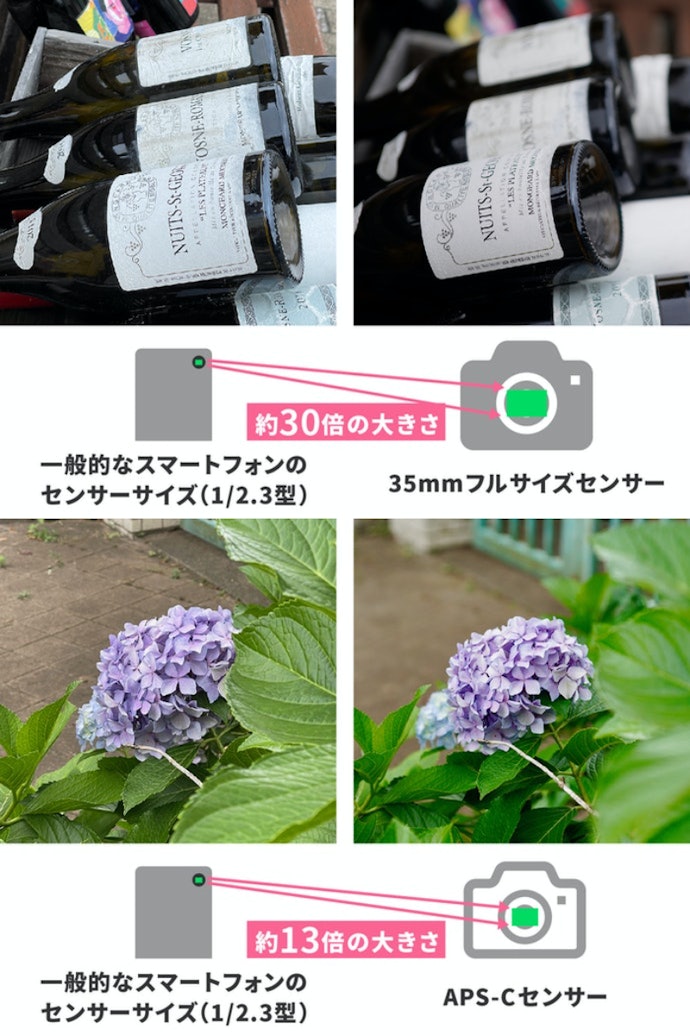 FX(フルサイズ)表記・DX(APS-C)表記にも注目