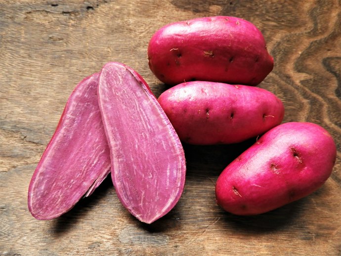 芋焼酎:コクのある味わいが特徴。鹿児島の返礼品をチェック
