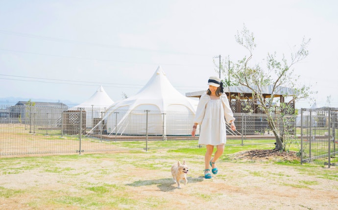 愛犬と一緒に楽しむならペットも泊まれる施設をチェックしよう