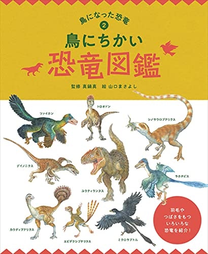 地域や形状など特定の分野に詳しくなりたい人には、テーマ型がおすすめ