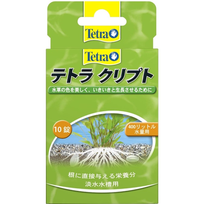 茎の先端の白化が気になるなら、葉緑素の生成に役立つ鉄に注目