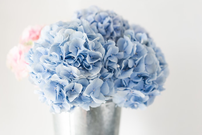 存在感や華やかさがほしいなら大きめの花をチョイスしよう