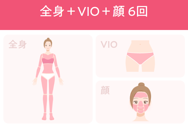 ②全身+VIO+顔6回 蓄熱式