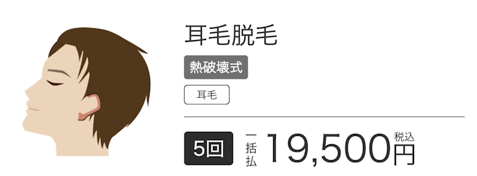 【オプションメニュー】耳毛脱毛 熱破壊式5回