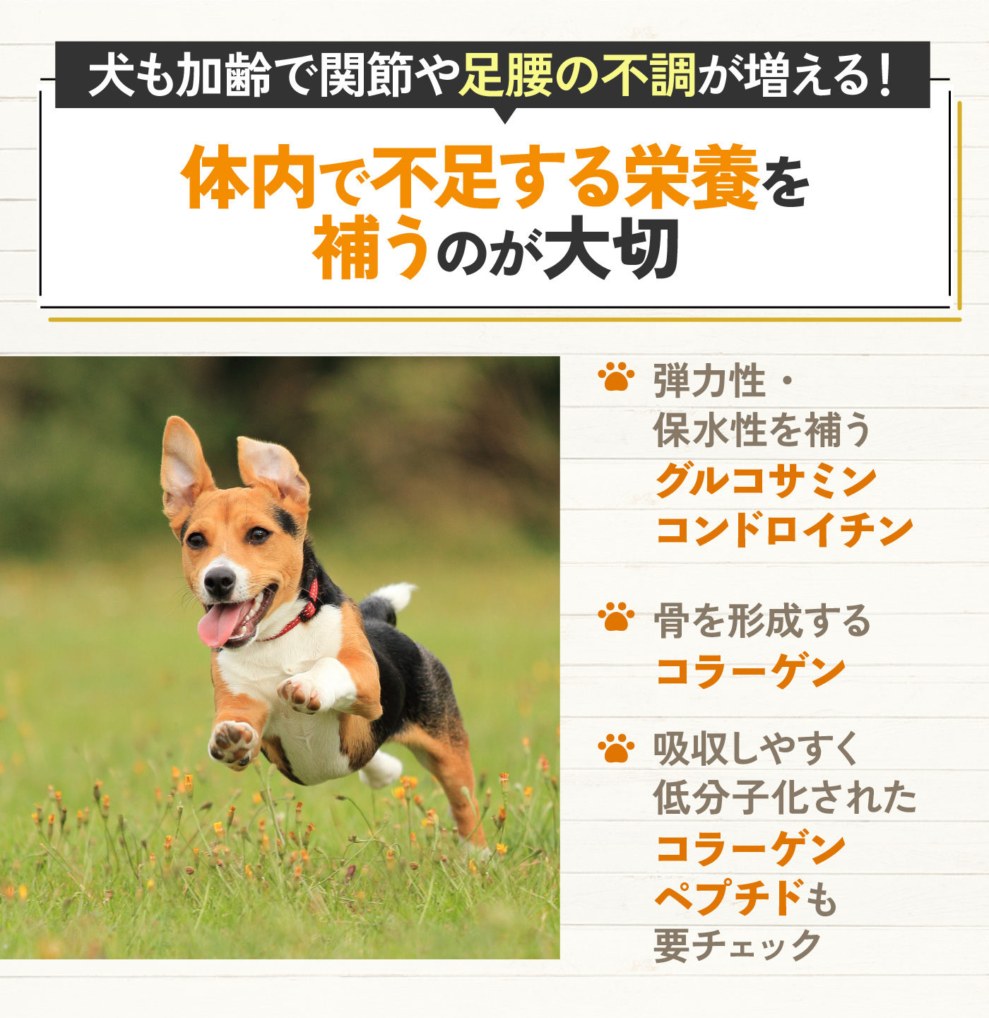 犬の関節ケアサプリのおすすめ人気ランキング【2025年11月】 | マイ