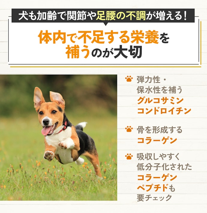 関節の健康をサポートするには、グルコサミン・コンドロイチンがおすすめ