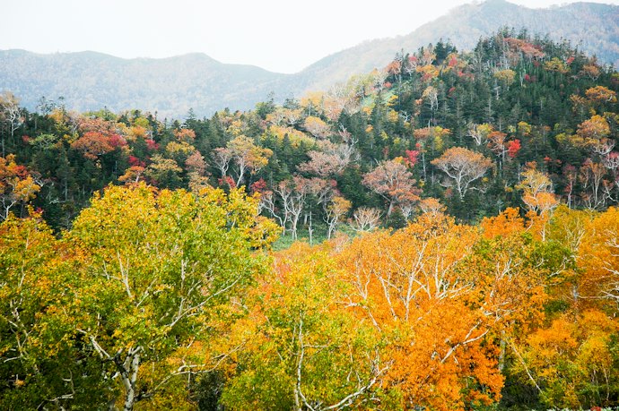 四季折々の景色を楽しむなら、山岳風景を望める宿がおすすめ