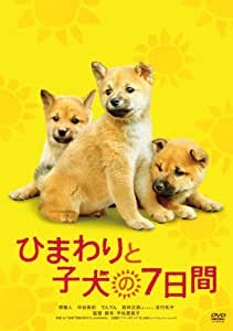 思いっきり泣きたいときは実話系がおすすめ