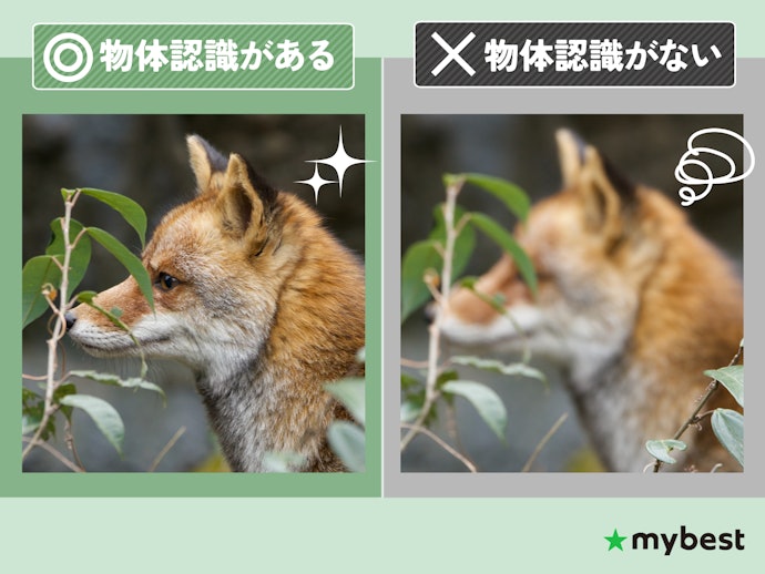 動く被写体を撮りたいならAF性能に注目。物体認識が充実しているものほど初心者向き