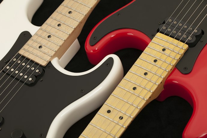 サブギターも持ち歩くなら2本収納できるものに注目