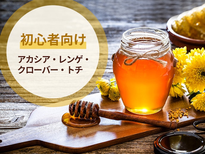 初心者にはアカシア・レンゲなどクセのない花がおすすめ!