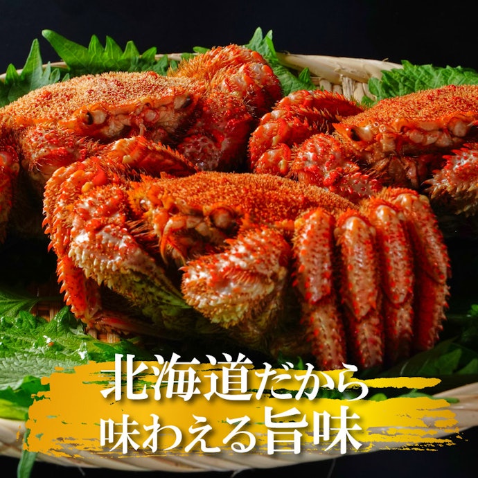 海産物:生から加工品まで好みに合わせて選べる。贅沢な味わいを求める人に